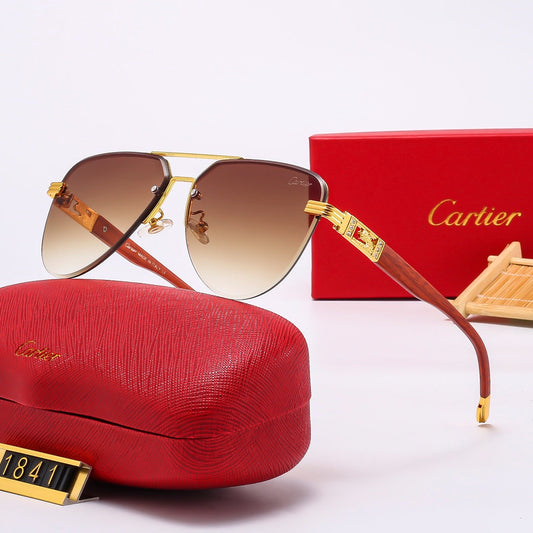 Pilot Sunglasses 1841