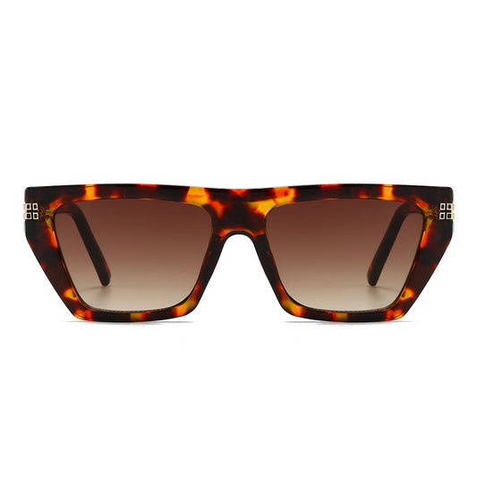 Thick Geek-Chic Geometric Tinted Sunglasses