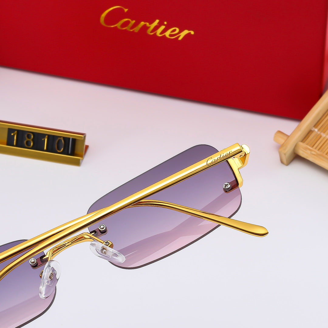 5 Colors Fashion metal sunglasses 1810