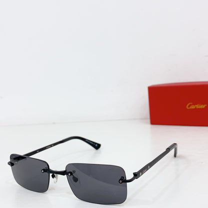 Classic Premium Brushed Sunglasses - 7 Colors