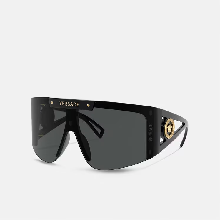 ICON SHIELD SUNGLASSES 1111