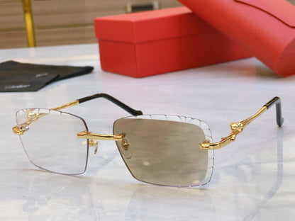 Precision cutting classic leopard high-end color changing sunglasses