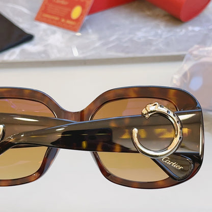 High end leopard print large frame sunglasses