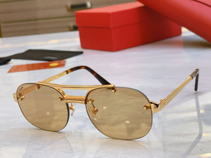 High end double bracket sunglasses