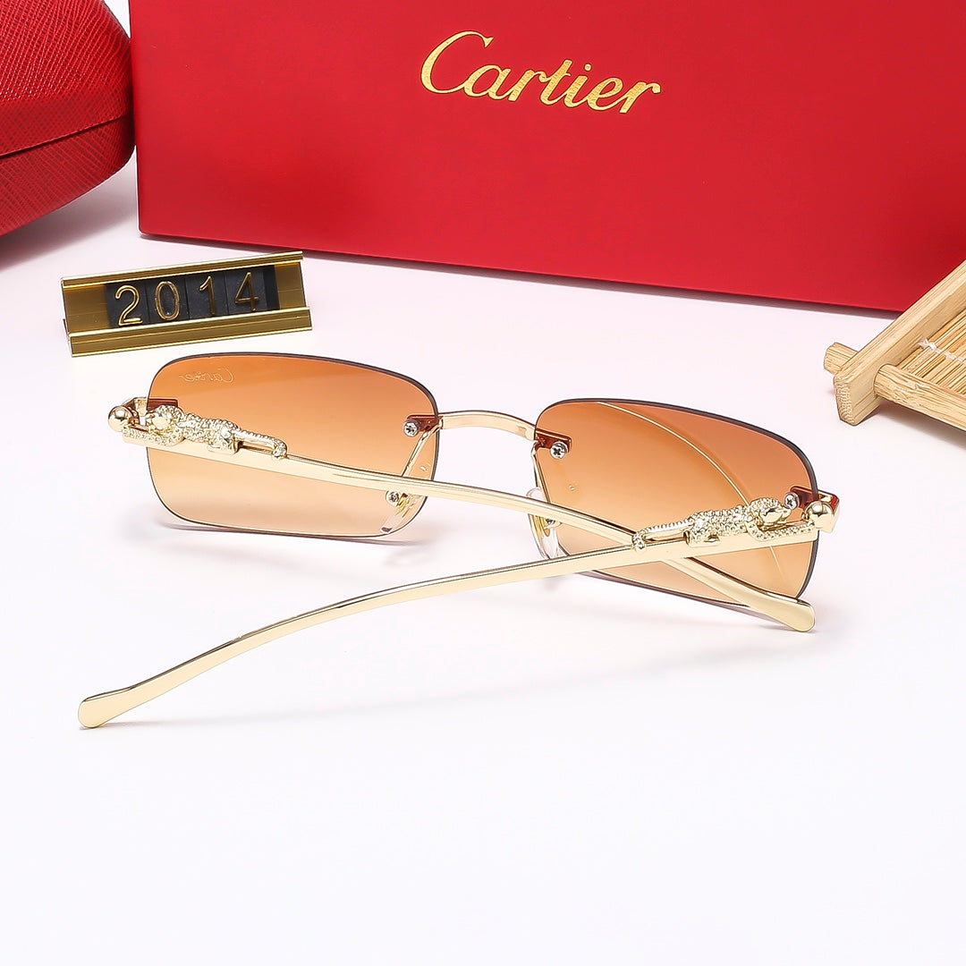 5 Colors Fashion Sunglasses—2013