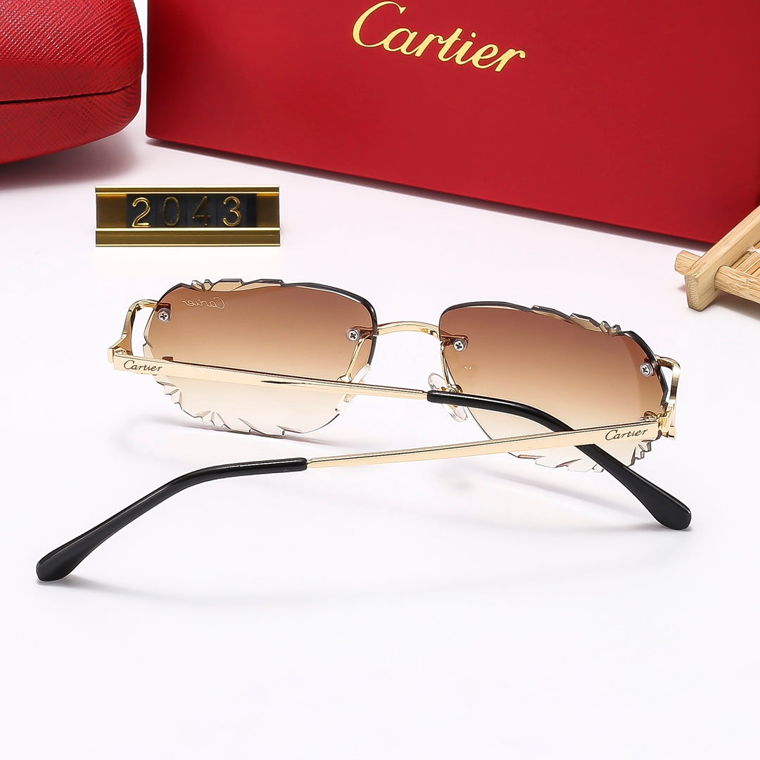 4 Colors Fashion Sunglasses—2042