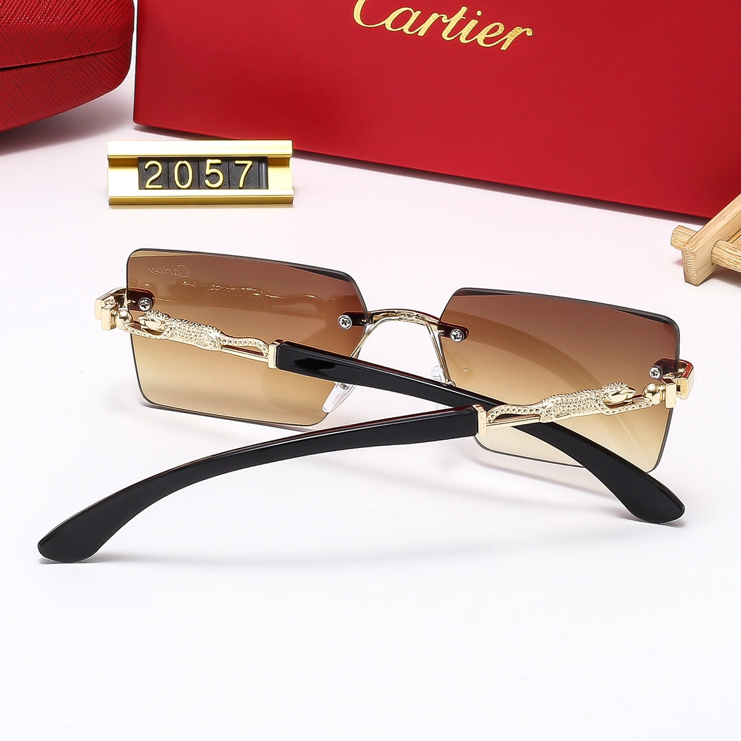 5 Colors Fashion Sunglasses—2058