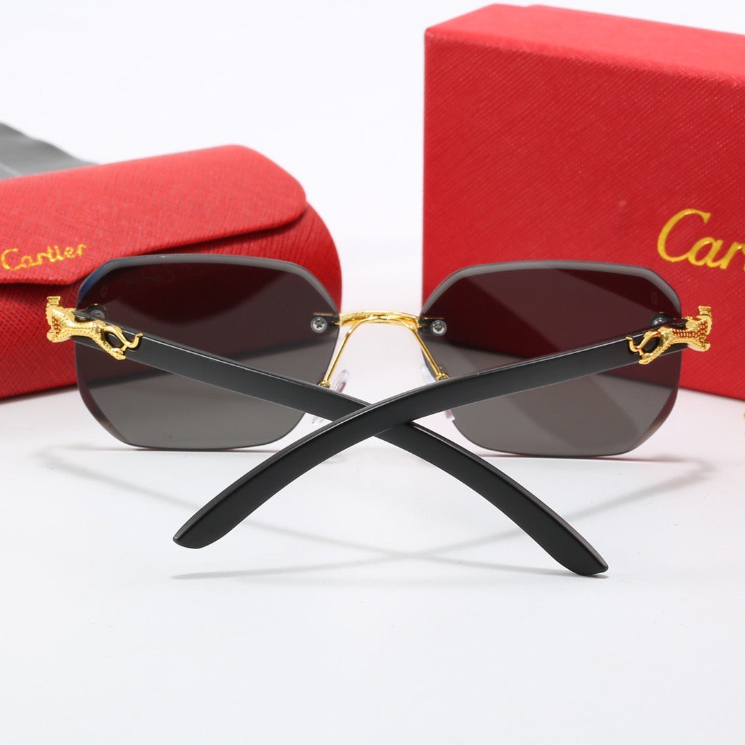5 Colors Fashion Sunglasses—3910