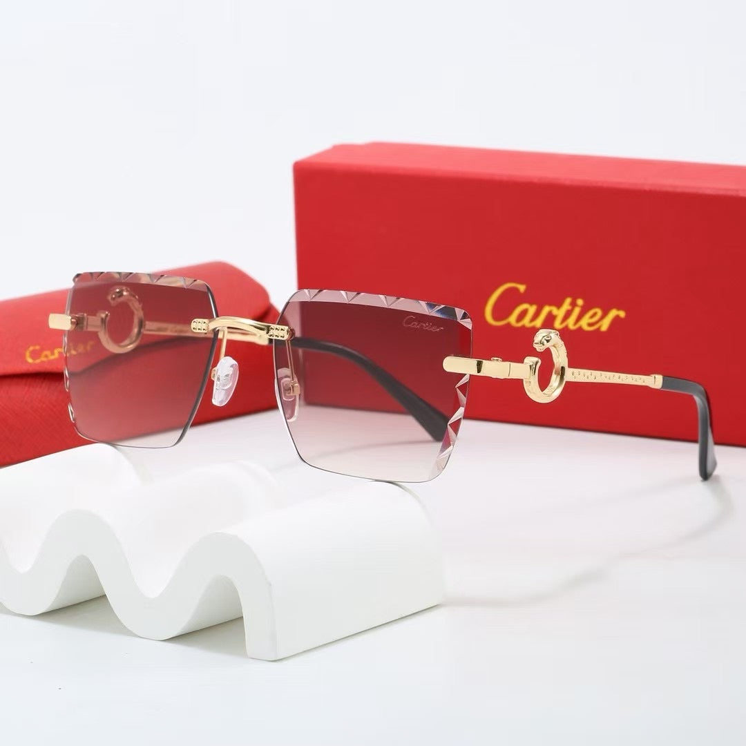 5 Colors Fashion Sunglasses—25061