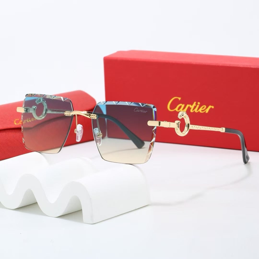 5 Colors Fashion Sunglasses—25061